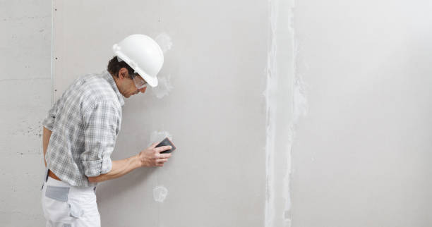 Best Black Mold Removal  in Elbow Lake, MN