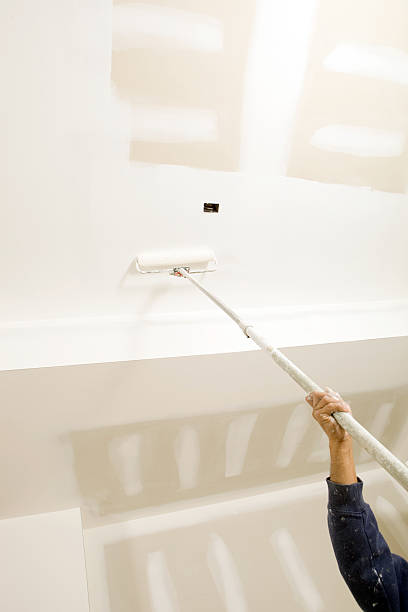 Best Mold Removal for HVAC Installations  in Elbow Lake, MN