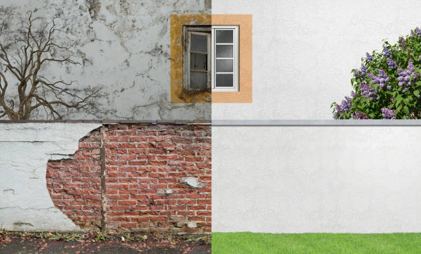 Reliable Elbow Lake, MN Mold Removal Solutions