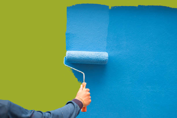 Environmental Consulting for Mold Prevention in Elbow Lake, MN